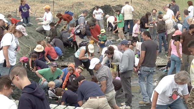 3022c8d600000578-0-image-a-1_1452707321939